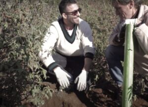 Reforesta Miguel Angel Silvestre 2024