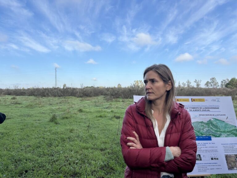 Sara Aagesen MITECO 2025