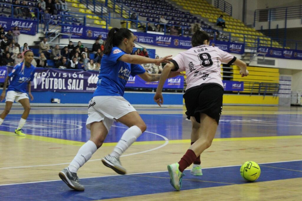 TORREBLANCA GUADALCACIN (17)