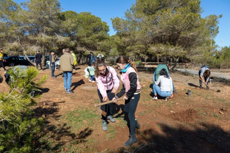 WhatsApp Image 2025 01 19 at 20.26.27