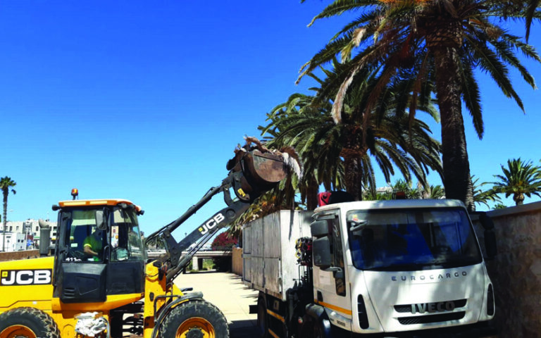 TRABAJADORES MELILLA
