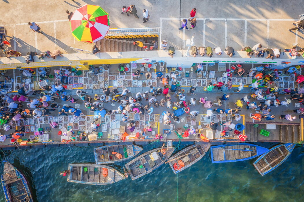Año Nuevo Chino 2025 expo UNA MIRADA DESDE WEIHAI Año Nuevo Chino 2025 expo UNA MIRADA DESDE WEIHAI