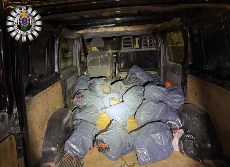 Neumáticos en la basura 1