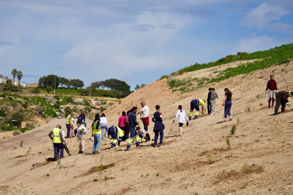 vaguada cabrerizas 4