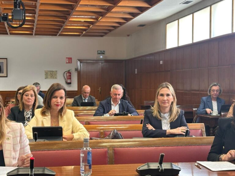 Isabel Moreno en el Senado