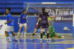 TORREBLANCA OURENSE (21)