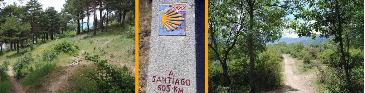 Camino Santiago Madrid 2025