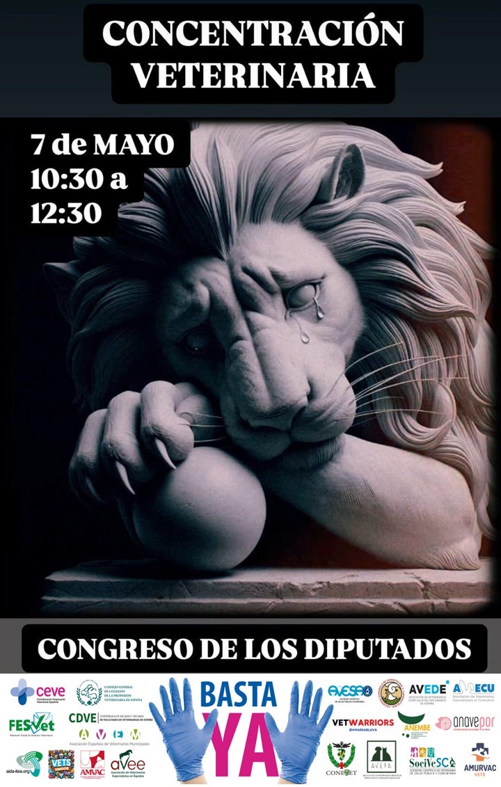 Comite de Crisis Vet concentracion congreso 2025 01 Comite de Crisis Vet concentracion congreso 2025 01