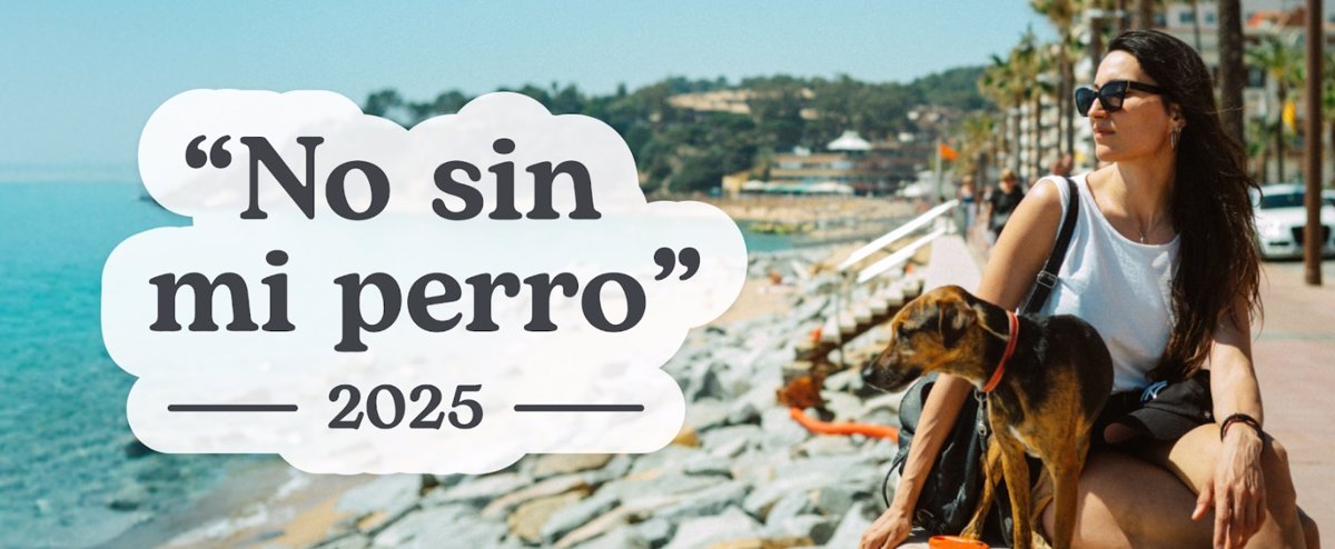 No sin mi perro 2025 01 'No sin mi perro 2025'