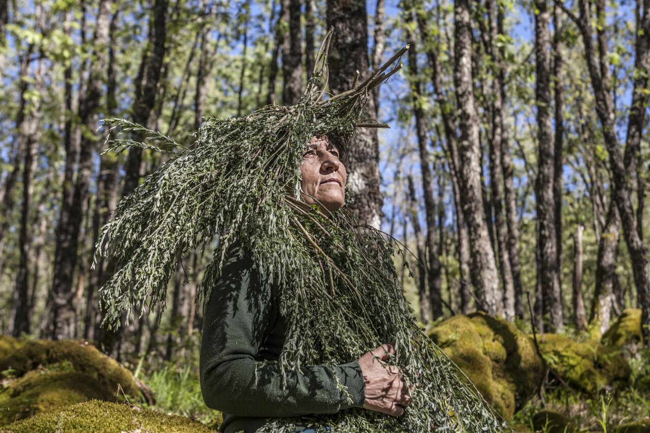 PHE 2025 Alegoria de la Naturaleza I Museo del Prado