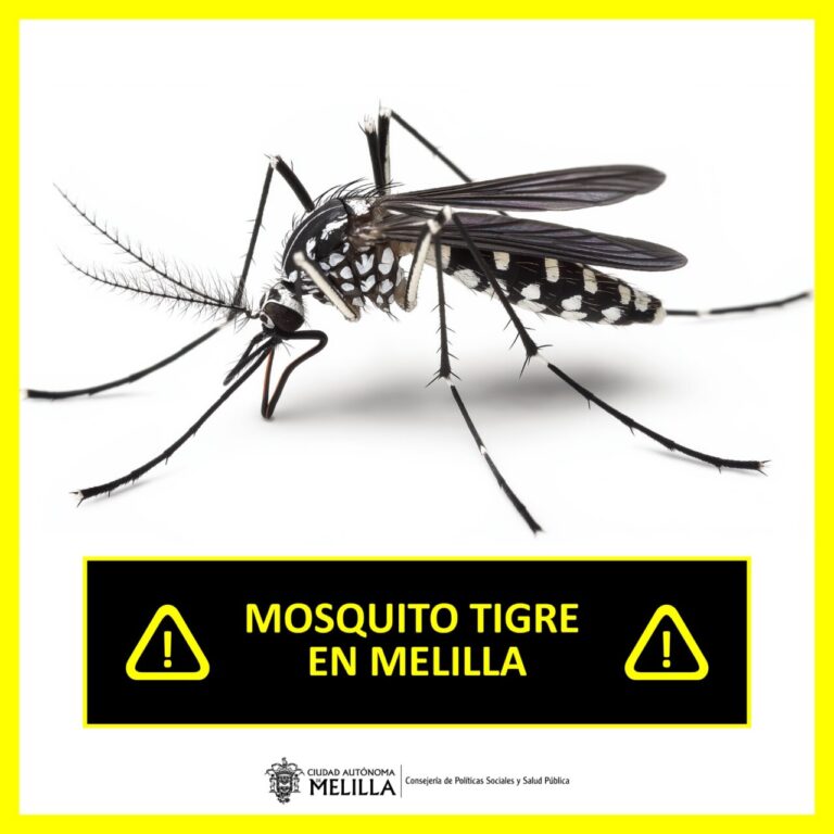 El cartel dado a conocer este jueves en Melilla