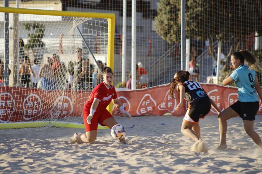 HIGICONTROL MELILLA (16)