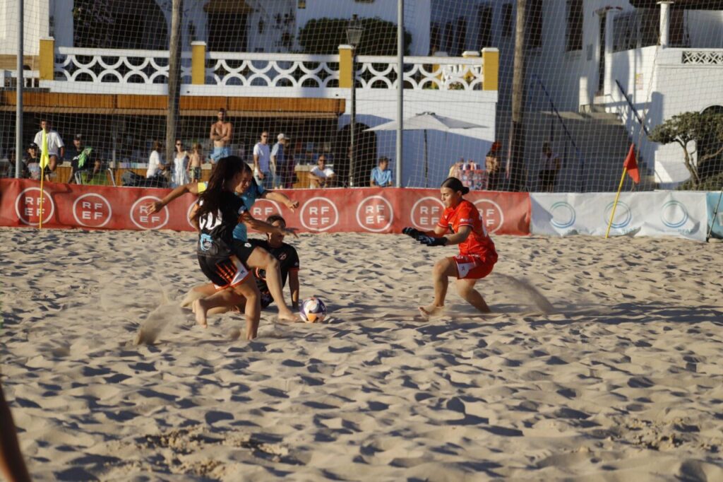 HIGICONTROL MELILLA (19)