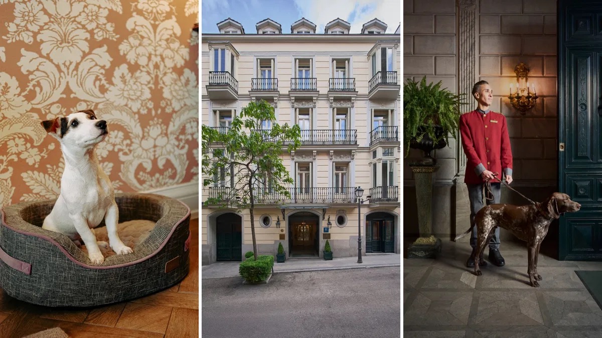 Hotel Orfila Madrid 2025 pet friendly 2025 Hotel Orfila Madrid 2025 pet friendly 2025