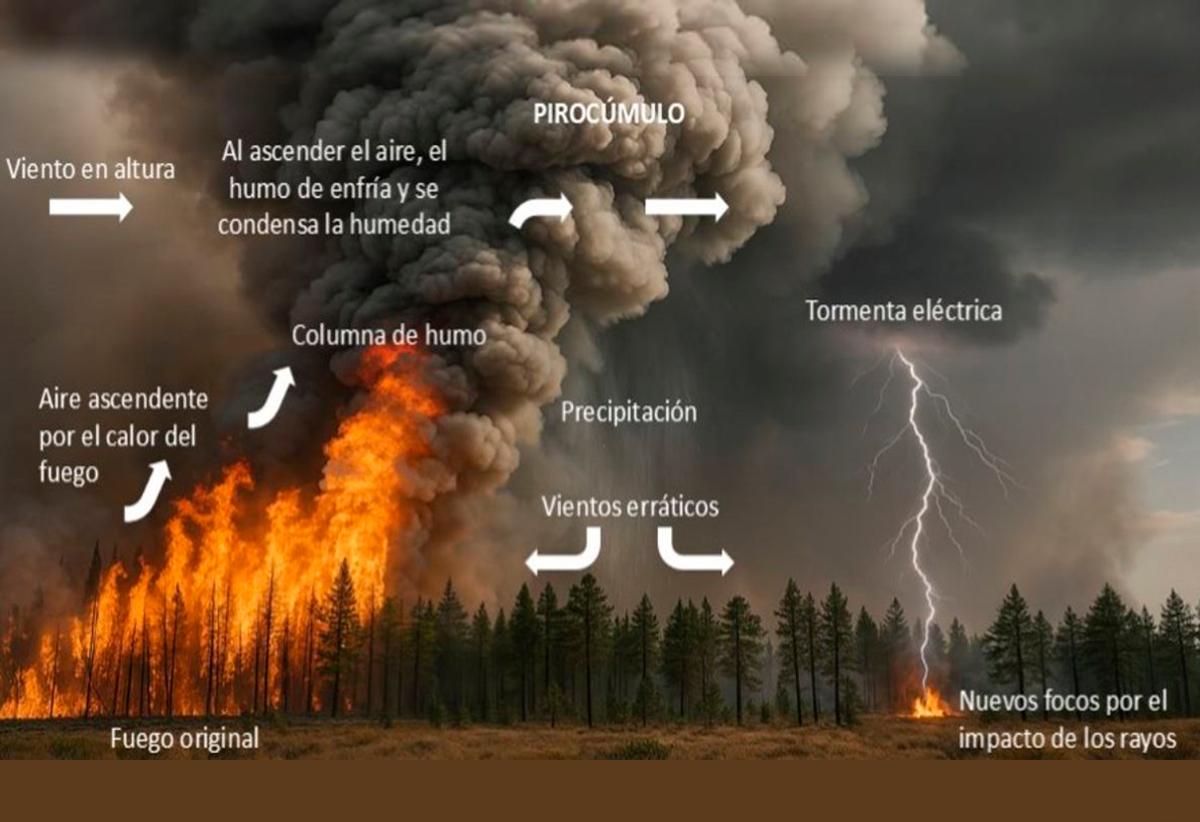 Incendio cambio climatico 2025 02