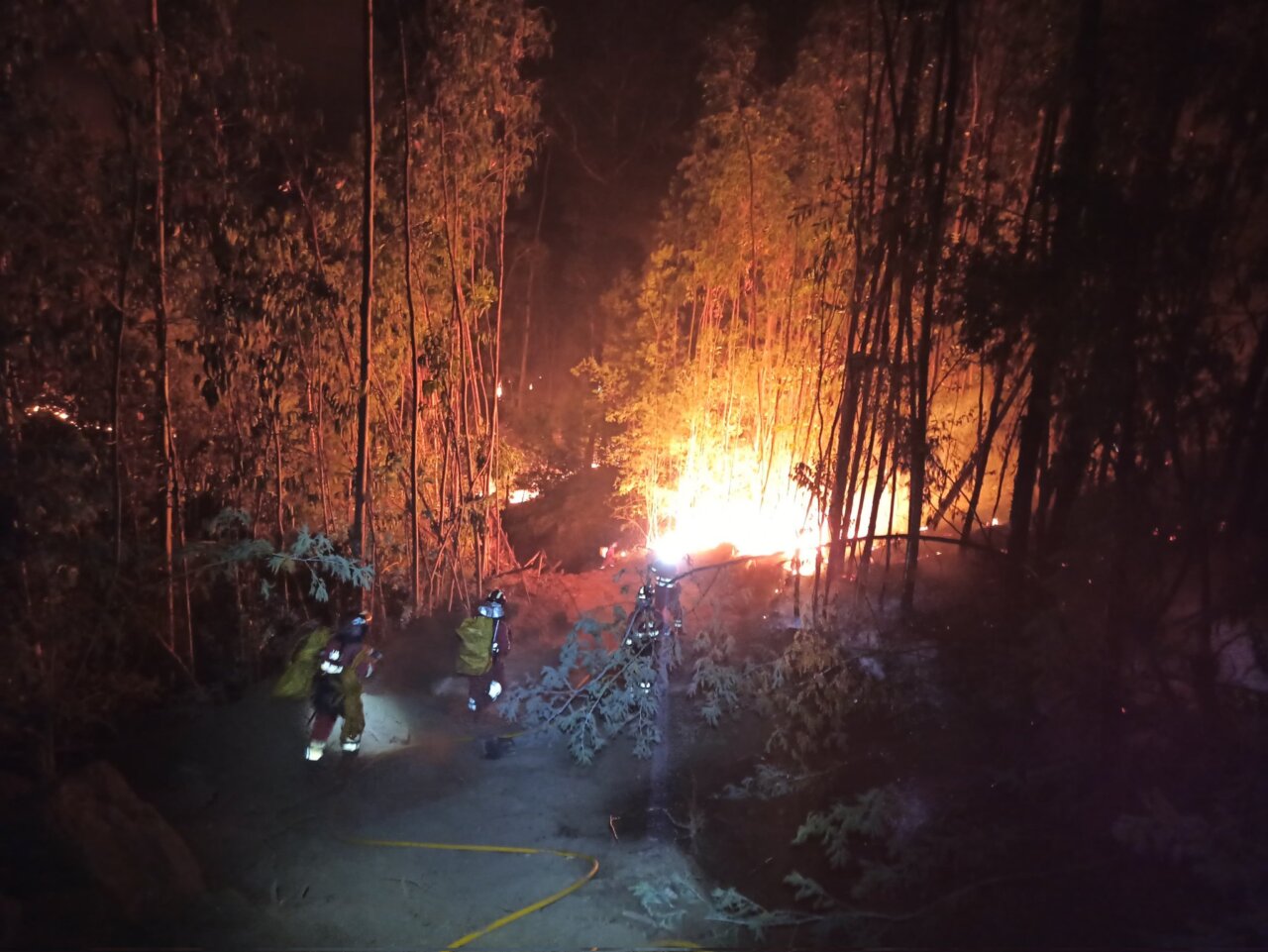 Incendios Galicia UME 2025 12