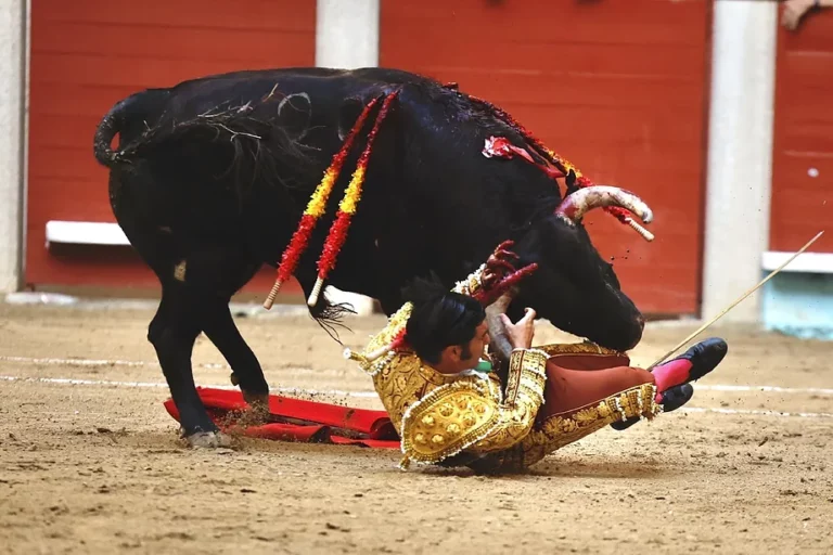 Morante de la Puebla