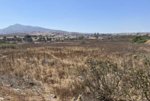 SEPES campo futbol 768x520