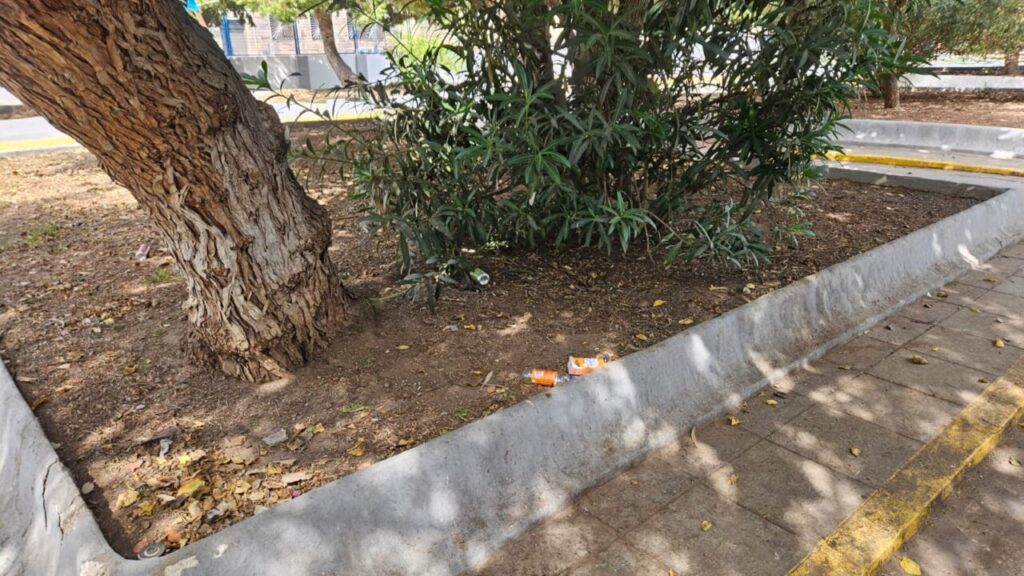 a8479946 6c05 4236 8450 0613ad9a1d43