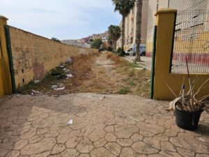 vandalismo palmeras 1