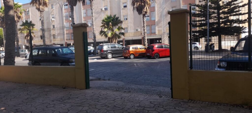 vandalismo palmeras 3