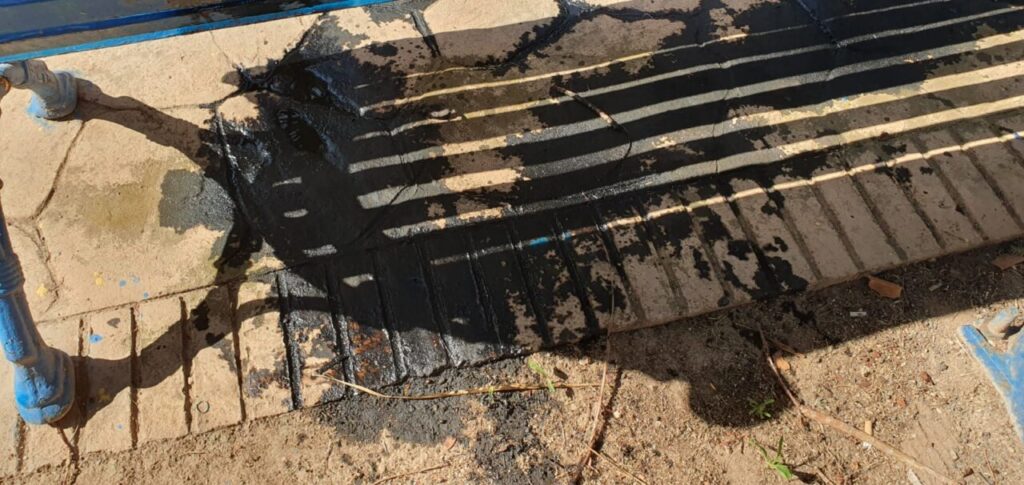 vandalismo palmeras 6