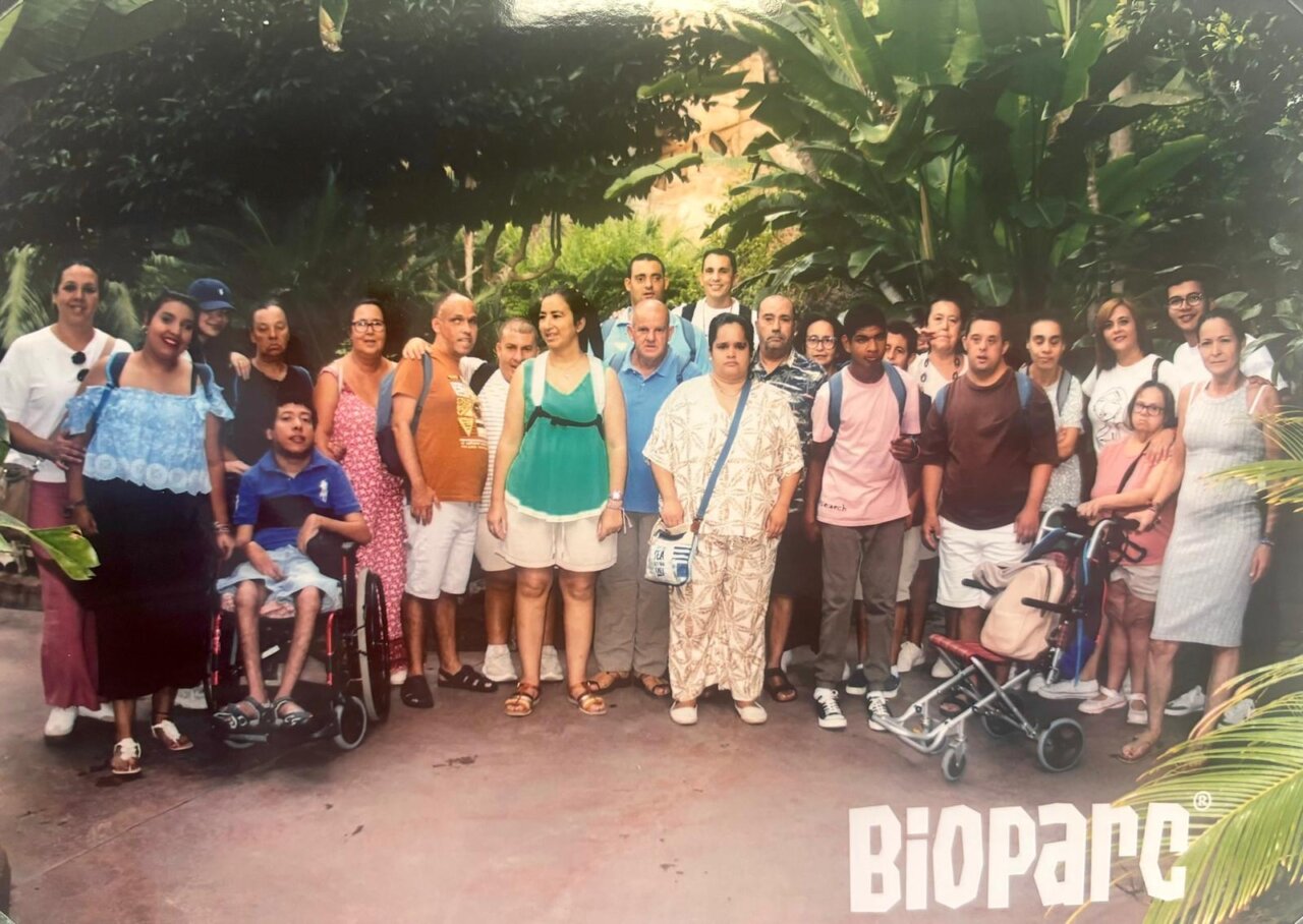 Imagen del artículo