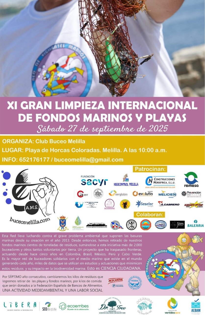 Imagen del artículo