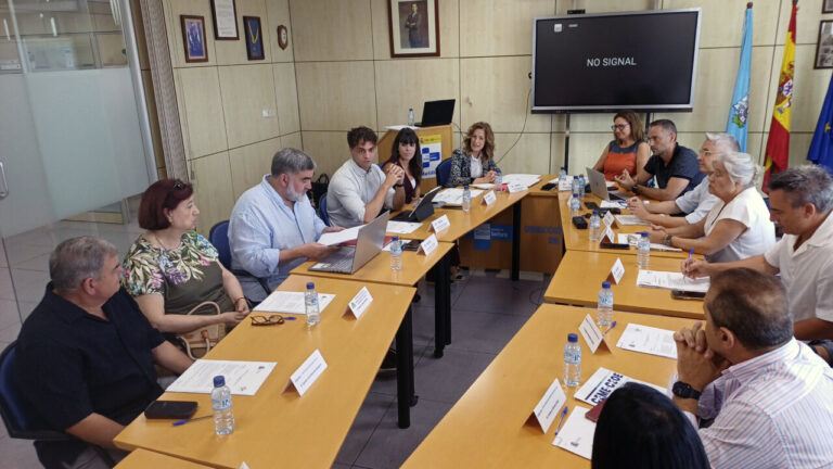 Comision Ejecutiva INGESA