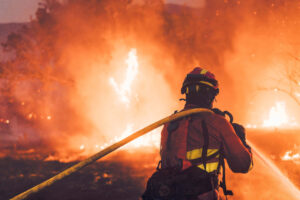 Ejercito incendios 2025 03