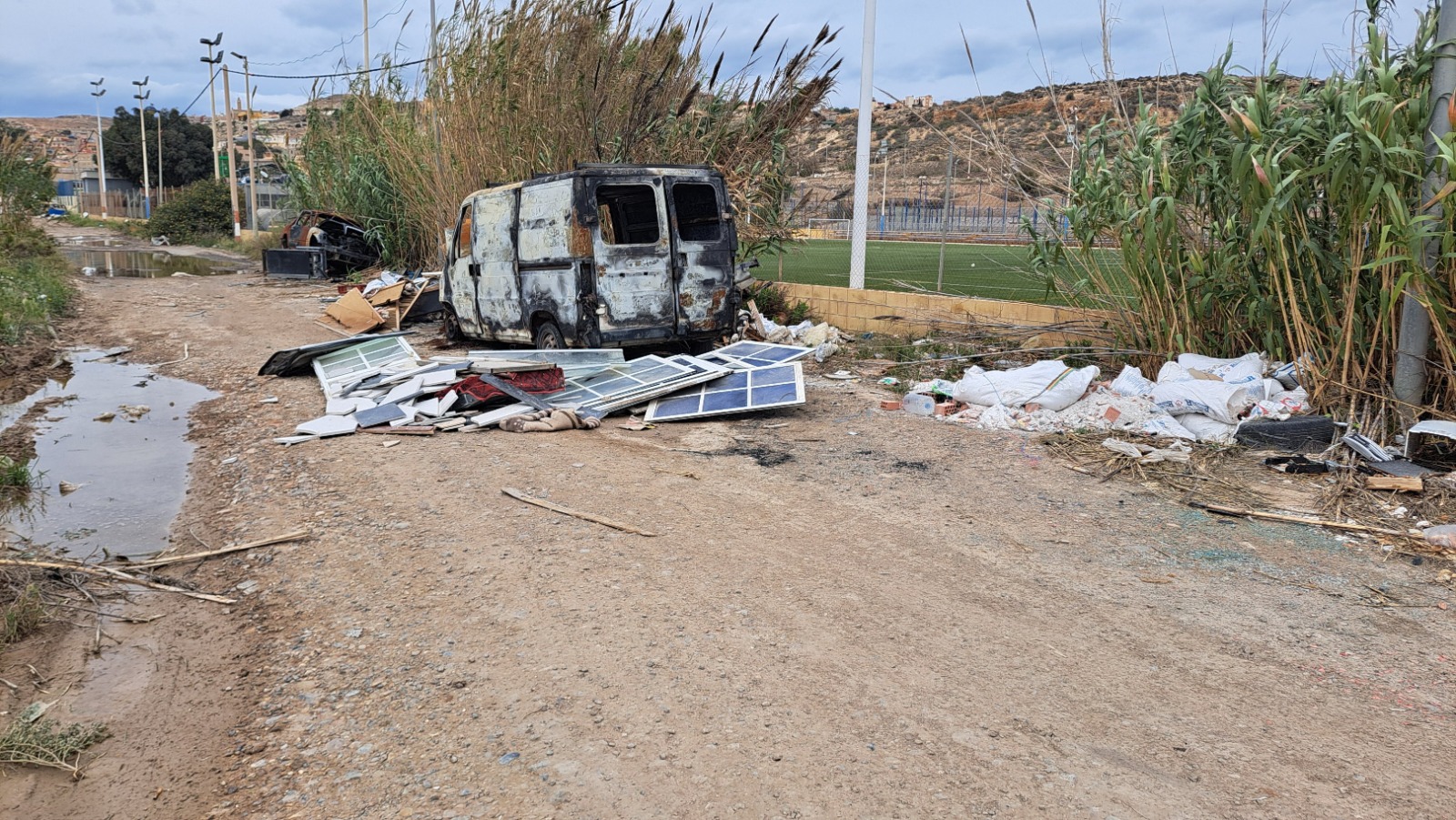 Imagen del artículo