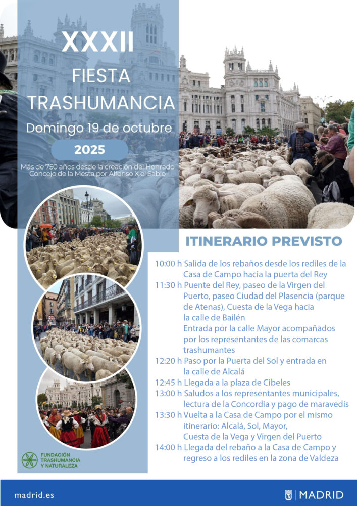 Rebaño de ovejas en la Fiesta de la Trashumancia en Madrid