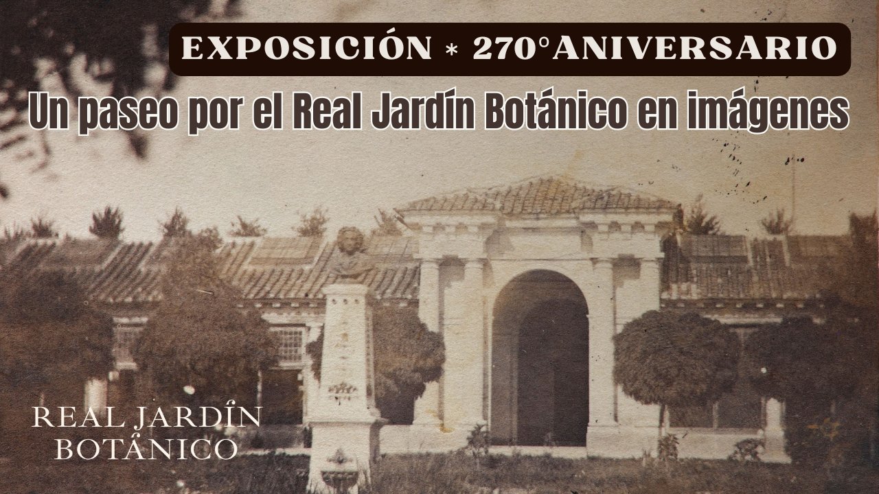 Imagen antigua del Real Jardín Botánico con texto de exposición.