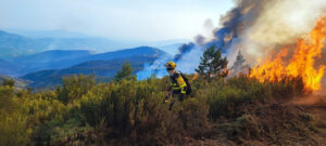 Bombero trabajando en un incendio forestal en España