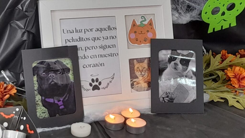 Altar en homenaje a mascotas fallecidas con fotos y velas