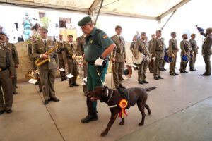 Perra detectora de drogas TARA con su guía en ceremonia de reconocimiento