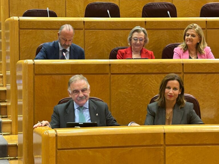 Senador Fernando Gutiérrez Díaz de Otazu en el Senado durante su intervención