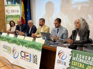 Panel de expertos en el I Congreso Internacional Esfera Joven 2025