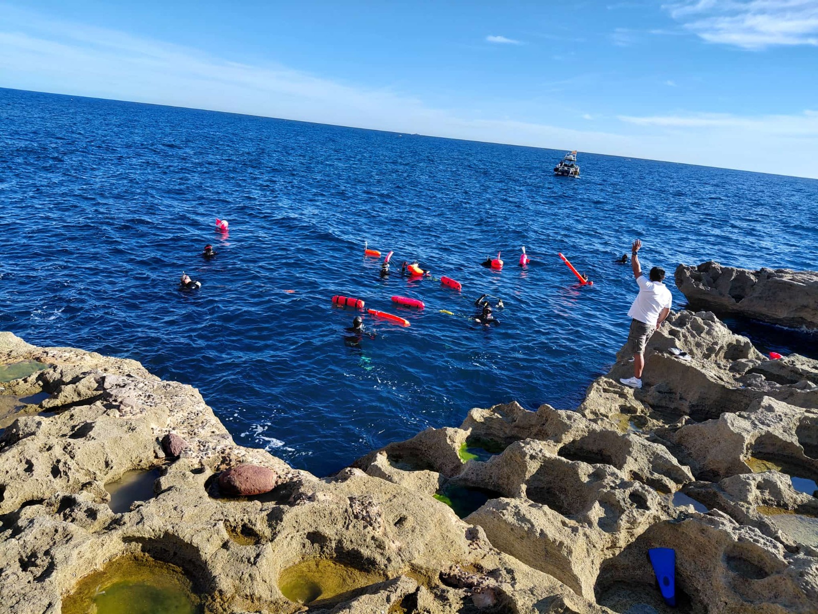 Imagen del artículo