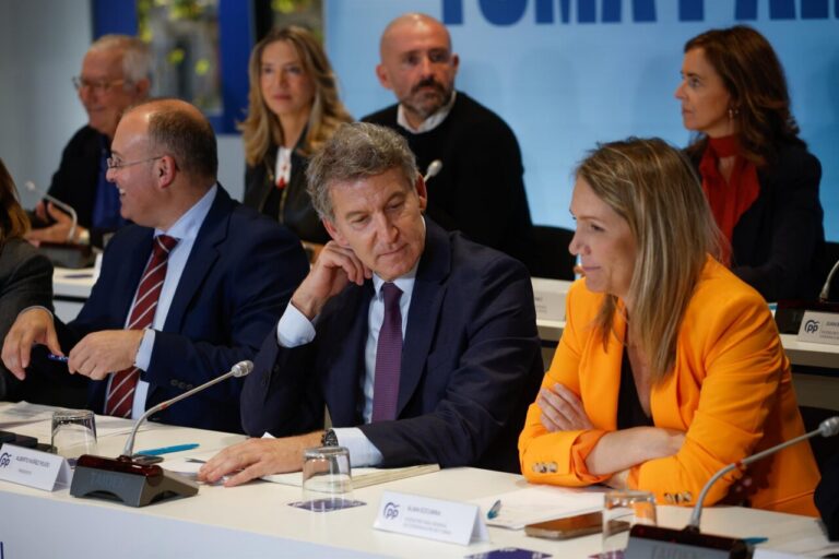 Alberto Núñez Feijóo durante su intervención en el Comité Ejecutivo Nacional del PP.