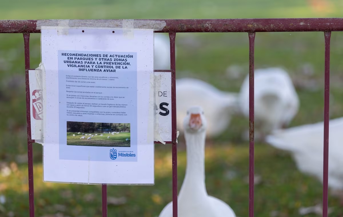 Cartel de recomendaciones sobre la gripe aviar en un parque urbano