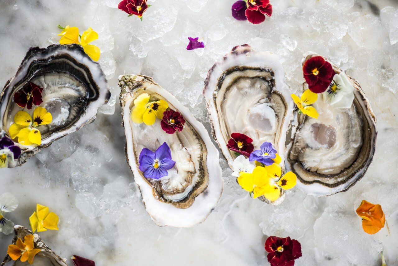 Ostras frescas decoradas con flores comestibles sobre hielo