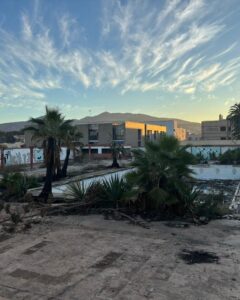 Vista de palmeras dañadas en un tanatorio tras un incendio