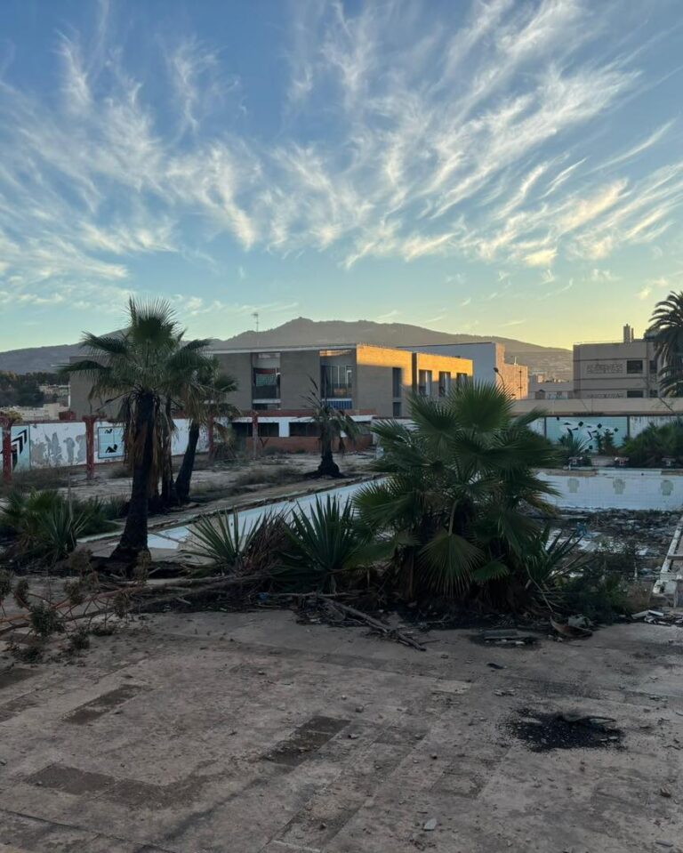 Vista de palmeras dañadas en un tanatorio tras un incendio