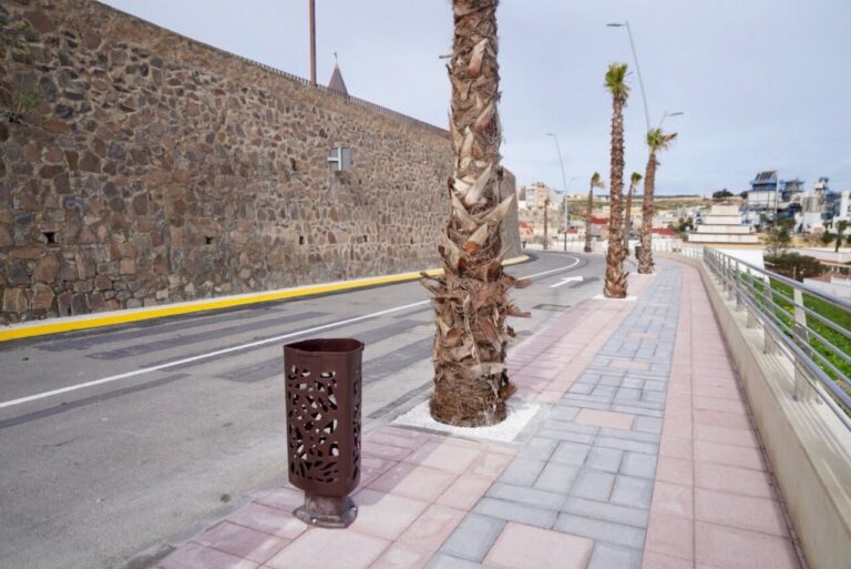 Vista de la carretera de la Alcazaba con palmeras y muro de piedra