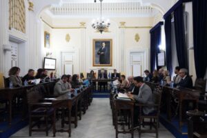 Reunión del Pleno de la Asamblea en Melilla discutiendo ayudas sociales.