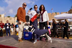Perro disfrazado de piloto en concurso de mascotas