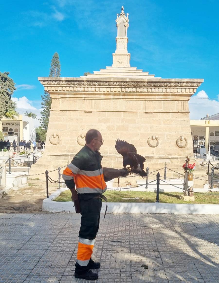 Imagen del artículo