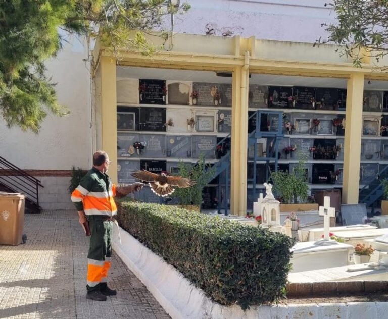 Joven posando frente a un fondo de Juventudes Socialistas de Melilla