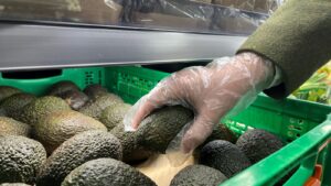 Una mano con guante sosteniendo un aguacate en una cesta